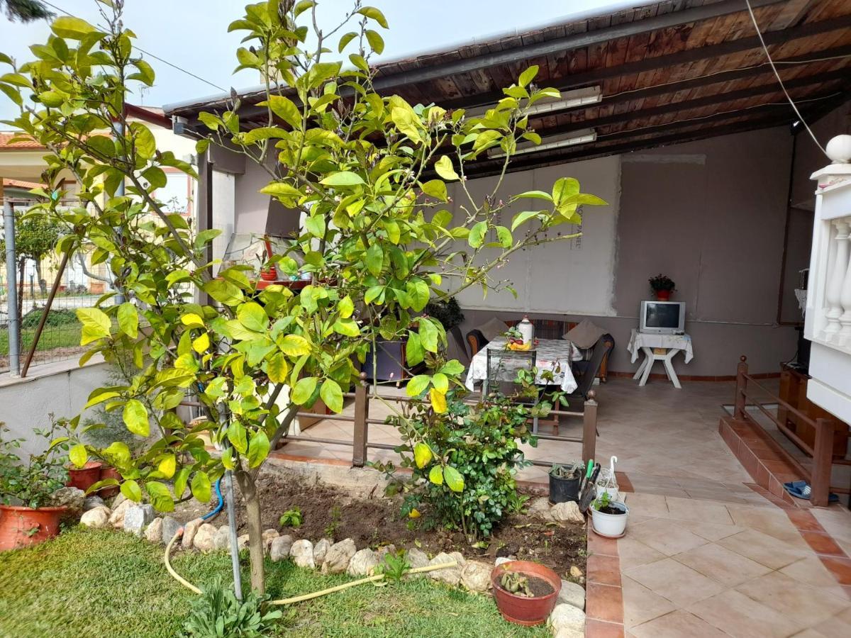 Villa Vangelis Nea Plagia Luaran gambar
